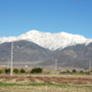 Meet your Posher, Beatriz